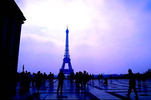 京都の魅力を存分に味わう！ヴィラージュ京都の宿泊プランと特徴