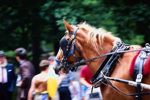 東横INNさいたま岩槻駅前：駅近で快適なビジネスホテルの魅力と詳細情報