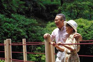 四国フェリーの魅力と便利な情報を徹底解説！