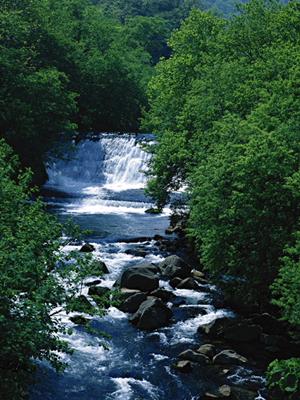 京都観光とビジネスに最適な宿泊スポット：東横INN京都四条烏丸の詳細ガイド