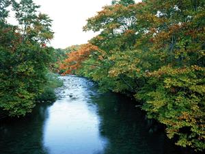 弘前駅近くの快適ビジネスホテル【東横INN弘前駅前】の魅力とおすすめポイント