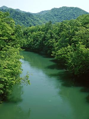 Airbnb代行でおすすめのサイト