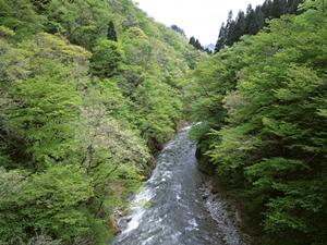 システムメンテナンスのお知らせ：安全なサービス提供のための重要な情報