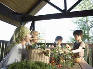 静岡を代表する日本料理店「日本料理四季」：伝統と革新が融合した絶品和食体験