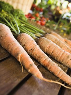 出雲市駅徒歩1分のビジネスホテル【東横INN出雲市駅前】の魅力と詳細情報