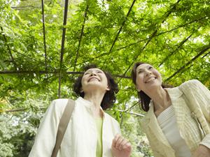 浜田駅北口から徒歩3分！東横イン浜田駅北口の魅力と詳細ガイド