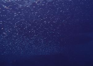 沖縄・石垣島の快適な滞在を実現する【東横INN石垣島】：便利なロケーションと充実した施設でビジネス・観光に最適なホテル