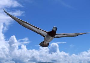 福井駅前のビジネスホテル【東横INN福井駅前】：快適な宿泊と充実した設備を提供
