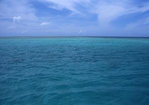 JR九州ホテル宮崎 – 快適な宿泊体験を提供する魅力的なホテル