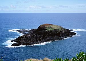 【公式】東横INN品川大井町｜快適な滞在と利便性を両立したビジネスホテル
