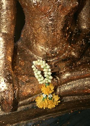 船の旅を楽しみたい方に紹介したい旅行会社