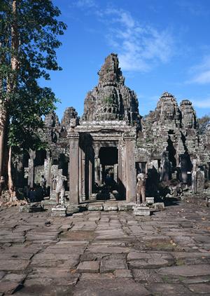 オシャレな原宿のハリネズミカフェ