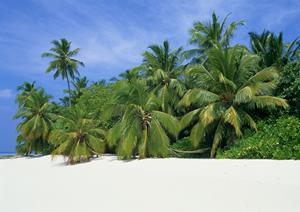鳥取駅北口から徒歩2分！東横INN鳥取駅北口の快適な滞在と便利なサービス紹介