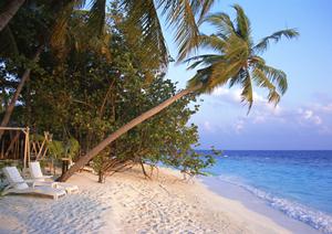 佐賀駅徒歩1分！快適さと便利さを追求した東横INN佐賀駅前の魅力徹底解説