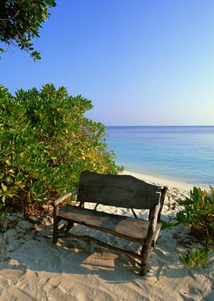 JALの株主優待を活用した家族旅行の計画法とお得な利用ガイド