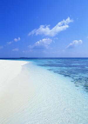 和歌山駅から徒歩わずか4分の宿泊施設｜東横INNJR和歌山駅東口の魅力と店舗情報