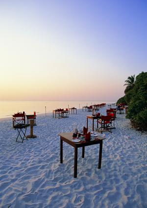 東京新宿歌舞伎町に位置するビジネスホテル「東横INN新宿歌舞伎町」の魅力と利用ポイント