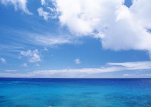 八潮駅から徒歩3分！快適な滞在を実現する東横イン八潮駅前の魅力と特徴