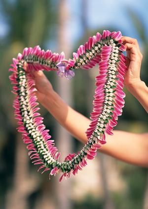 【公式情報を基に】東横INN堺東駅の魅力と詳細ガイド