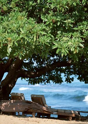 【公式】東横INN京浜東北線王子駅北口｜北区の快適なビジネス＆観光ホテル
