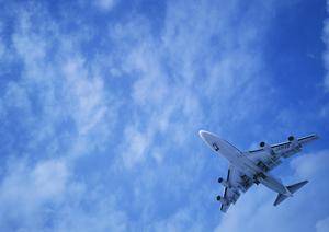 東京原宿にあるハリネズミカフェ