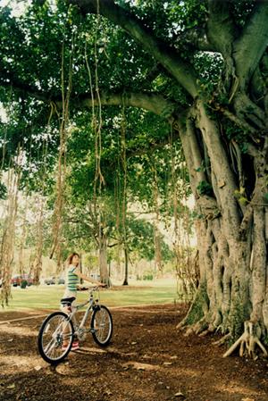 快適な滞在と便利なアクセスを実現する東横イン梅田中津1｜大阪市のビジネスホテルの魅力と施設情報